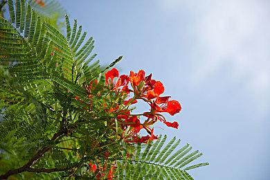 《索尼克 未知边境》开发者访谈 强化防止3D晕眩对策